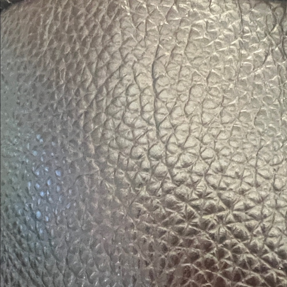 Textured Metallic Leather Bag